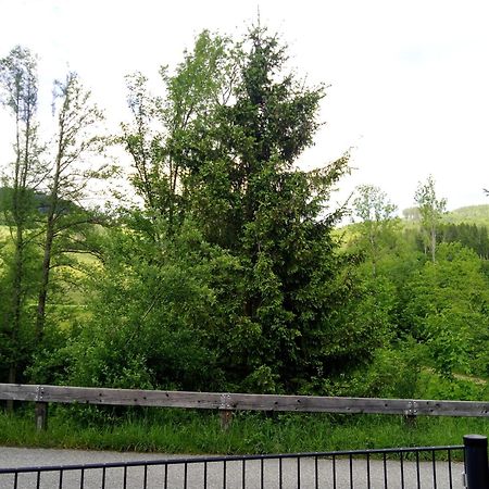 Feapp Parken & Pennen Apartman Mondsee Kültér fotó